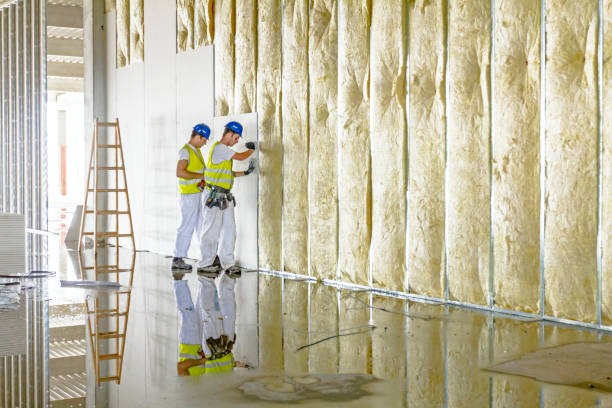 Best Insulation Installation Services in Jacksonville, FL